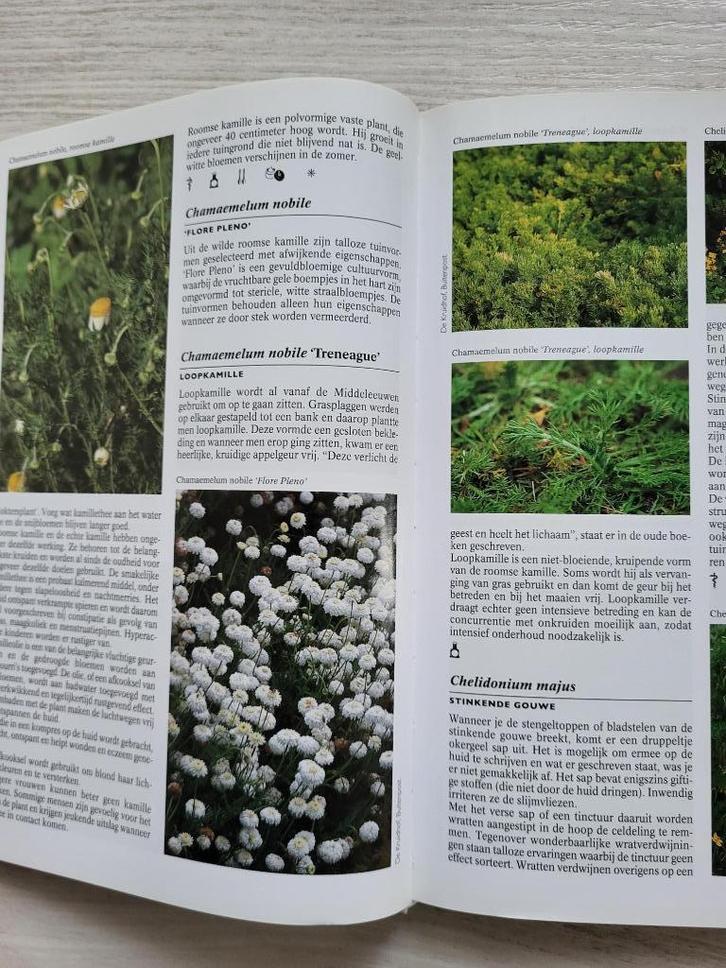 Kruiden Encyclopedie Nico Vermeulen, Boeken, Gezondheid, Dieet en Voeding, Zo goed als nieuw, Kruiden en Alternatief, Verzenden