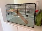 Gratis Hamsterkooi met toebehoren., Dieren en Toebehoren, Knaagdieren en Konijnen | Hokken en Kooien, Minder dan 60 cm, Kooi, Gebruikt