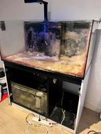 Red Sea Reefer XL 425 met DEFECTE kitrand, Ophalen, Gebruikt, Leeg aquarium