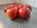 Decoratief nepfruit appels, Onbekend, Ophalen of Verzenden, Zo goed als nieuw, Onbekend