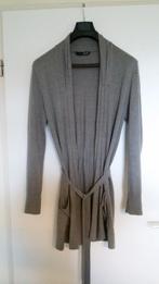 LIU-JO vest grijs maat M, Maat 38/40 (M), Ophalen of Verzenden, Zo goed als nieuw, Grijs