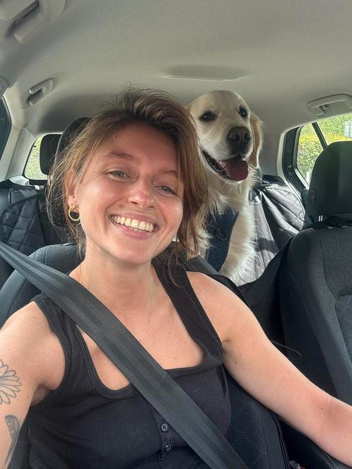 Hondenuitlaatservice, Diensten en Vakmensen, Dieren | Honden | Verzorging, Oppas en Les
