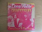 GRAPEFRUIT    DEEP WATER / COME DOWN TO THE STATION, 7 inch, Single, Ophalen of Verzenden, Zo goed als nieuw
