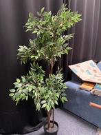 2 verschillende kunst planten te koop., Tuin en Terras, Planten | Bomen, Ophalen, Bloeit niet, Volle zon, Overige soorten