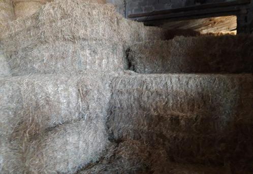 Eifelhooi grote balen 70x120, Dieren en Toebehoren, Dierenvoeding, Vee, Ophalen