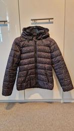 Maison scotch winterjas panterprint, Groen, Maat 34 (XS) of kleiner, Ophalen of Verzenden, Zo goed als nieuw