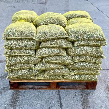 ACTIE SCHELPEN mix beschikbaar voor biedingen