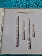 OMD, Ophalen of Verzenden, Zo goed als nieuw