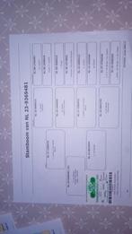 Mijn vliegduiven, eendaagse fond., Dieren en Toebehoren, Vogels | Duiven, Meerdere dieren, Postduif