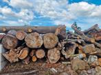 Dik stamhout van beuk, eik en kastanje., Tuin en Terras, Haardhout, Minder dan 3 m³, Ophalen of Verzenden