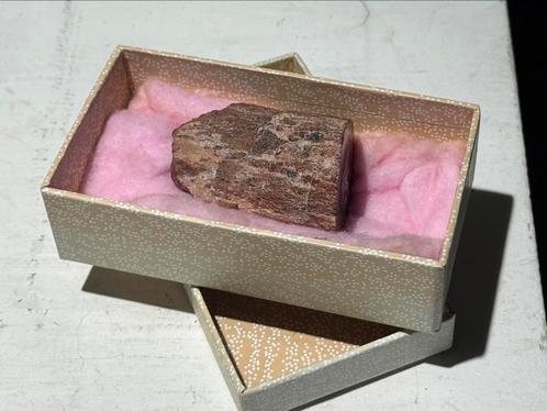 Silica Fossiel Bot ( Morrison Formation ), Verzamelen, Mineralen en Fossielen, Fossiel, Ophalen of Verzenden