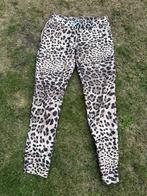 Studio Anneloes panterbroek S, Ophalen, Zo goed als nieuw, Lang