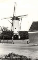 Halsteren, St. Antoniusmolen - ongelopen, Verzamelen, Ansichtkaarten | Nederland, Ophalen of Verzenden, 1920 tot 1940, Ongelopen