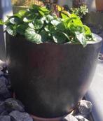 Grote oude terracotta bloempotten geglazuurd grijs antraciet, Tuin en Terras, 40 cm of meer, Rond, Zo goed als nieuw, Minder dan 40 cm