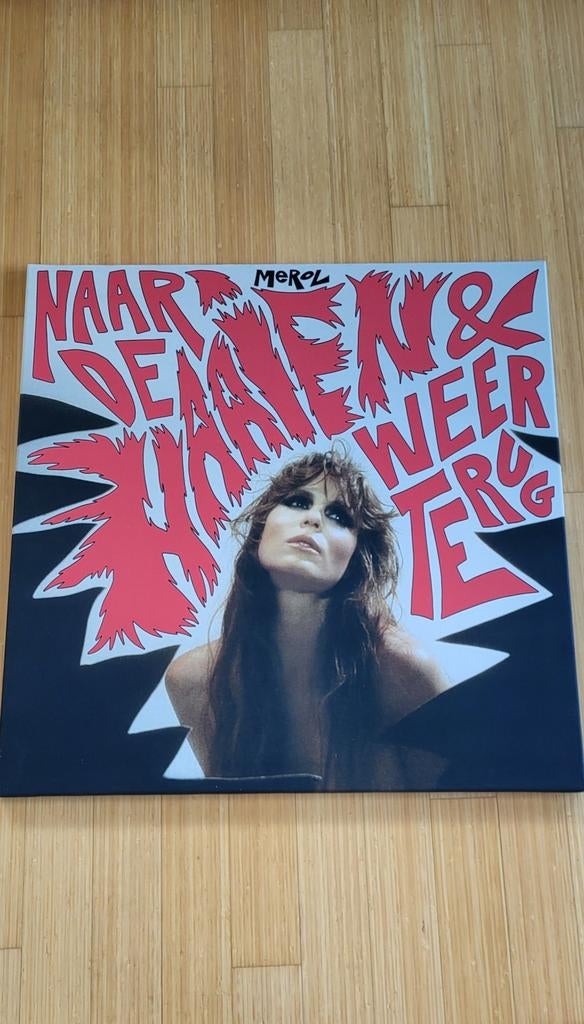 Merol foto op canvas 80X80 cm, Ophalen, Zo goed als nieuw, Foto of Poster, 75 cm of meer