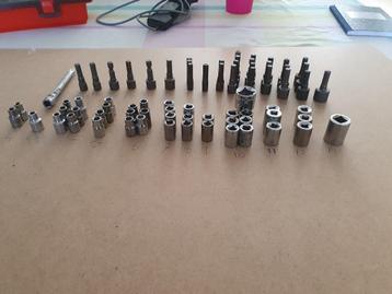 diversen doppen beschikbaar voor biedingen