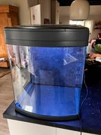 Sera marine 130, Dieren en Toebehoren, Ophalen of Verzenden, Gebruikt, Leeg aquarium