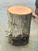 Hakblok / Kloofblok, Tuin en Terras, Haardhout, Minder dan 3 m³, Ophalen of Verzenden, Overige houtsoorten, Blokken