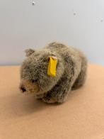 Steiff beer Siro, Ophalen of Verzenden, Gebruikt, Stoffen beer, Steiff