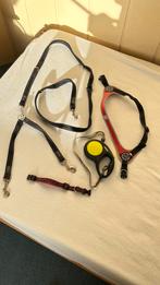 Merk Treponto rood, flex rol riem middelgrote hond, Dieren en Toebehoren, Ophalen of Verzenden, Gebruikt