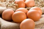 Verse eieren 10 voor € 3, Ophalen of Verzenden
