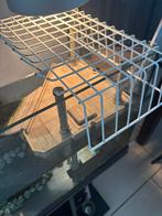 Aquarium hxbxd. 80x30x40cm incl toebehoren, Dieren en Toebehoren, Vissen | Aquaria en Toebehoren, Ophalen of Verzenden, Zo goed als nieuw