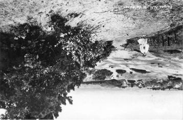 (388-082-015) Bergen (NH) In de duinen beschikbaar voor biedingen