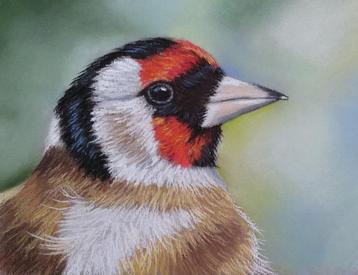 schilderij putter 211 - GRATIS lijst - uit eigen atelier beschikbaar voor biedingen