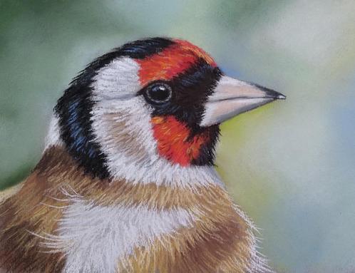 schilderij putter 211 - GRATIS lijst - uit eigen atelier, Huis en Inrichting, Woonaccessoires | Schilderijen, Tekeningen en Foto's