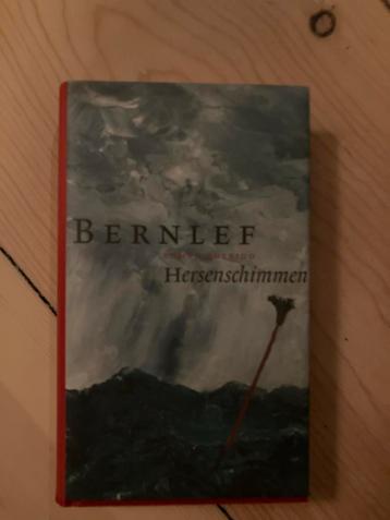 Bernlef - Hersenschimmen beschikbaar voor biedingen