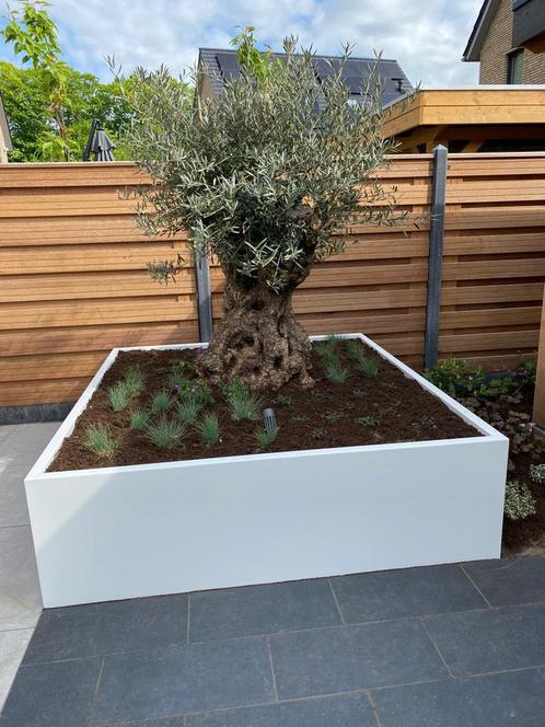 Cortenstaal/staal maatwerk, Tuin en Terras, Bloembakken en Plantenbakken, Ophalen of Verzenden