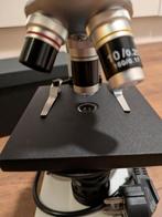 Byomic Microscoop BYO-30, Ophalen, Zo goed als nieuw, 400x tot 1000x, Biologische microscoop