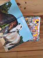 Penny jaar 2023, Boeken, Strips | Comics, Meerdere comics, Ophalen, Zo goed als nieuw, Europa