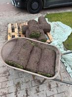 Graszoden, Tuin en Terras, Gras en Kunstgras, Ophalen of Verzenden, Zo goed als nieuw, Minder dan 10 m²