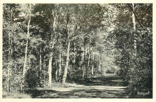 (387-243-039) Ermelo Bospad, Verzamelen, Ansichtkaarten | Nederland, Gelderland, Verzenden