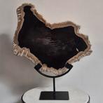 versteend hout op standaard, Ophalen of Verzenden