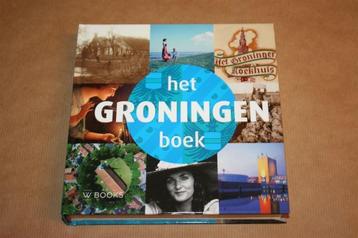Het Groningen boek - WBooks 2013 beschikbaar voor biedingen