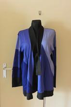 Roberto Sarto vest 48 paars met zwart, Paars, Maat 46/48 (XL) of groter, Ophalen of Verzenden, Gedragen