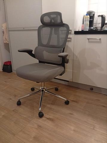 Flexispot OC19G-V3 Bureaustoel - Nieuw! beschikbaar voor biedingen