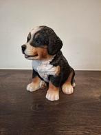 Berner Sennen beeldje., Ophalen of Verzenden, Zo goed als nieuw, Dier