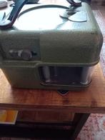 Te koop duivenklok, Mannelijk