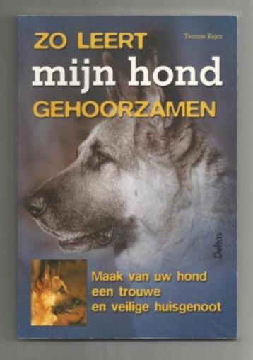 Zo leert mijn hond gehoorzamen - Yvonne Kejcz beschikbaar voor biedingen