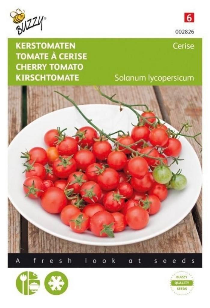 Kerstomaten zaden, Tuin en Terras, Bloembollen en Zaden, Volle zon, Ophalen of Verzenden