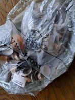 veel schelpen, Ophalen of Verzenden, Schelp(en)