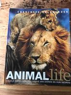 Charlotte Uhlenbroek - Animal Life, Gelezen, Charlotte Uhlenbroek, Ophalen of Verzenden, Overige diersoorten