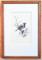 De onbekende vogel, Ophalen of Verzenden
