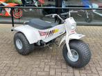 Yamaha Tri Moto YT 125 ATC Trike 2takt 1985 UNIEK