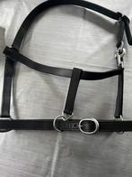 Nieuwe lederen halsters, Ophalen of Verzenden, Nieuw