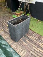 Hoge Bloembak / Plantenbak - 60cm, Tuin en Terras, Ophalen, Gebruikt, Minder dan 60 cm, Binnen