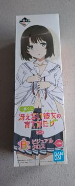 Megumi Kato, Saekano canvas doek (anime merch), Ophalen of Verzenden, Zo goed als nieuw
